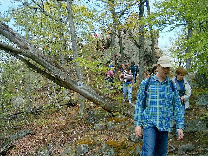 kerek-ko068