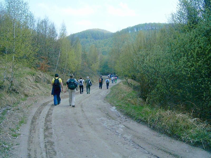 kerek-ko126