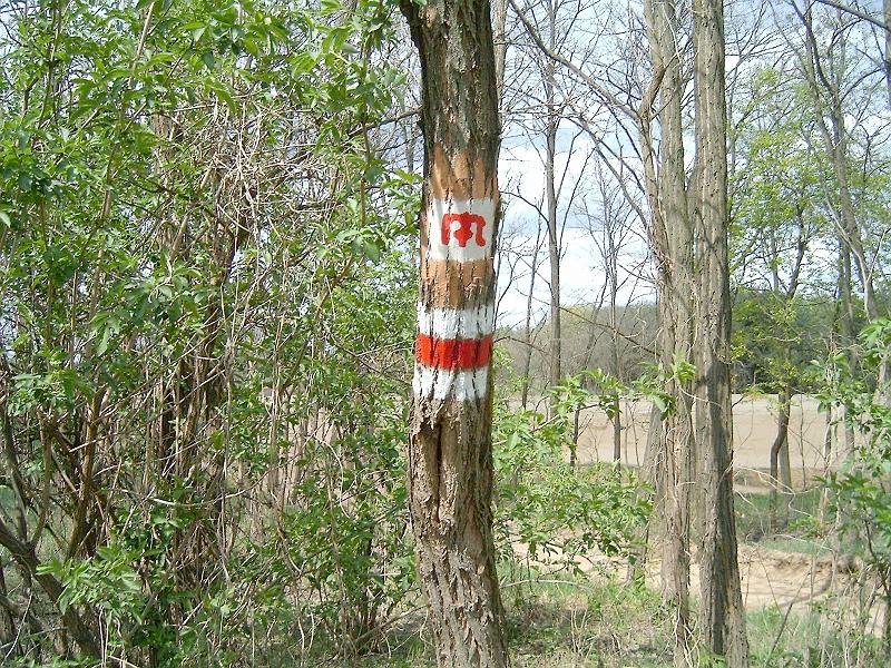 2012.14.22._054.jpg