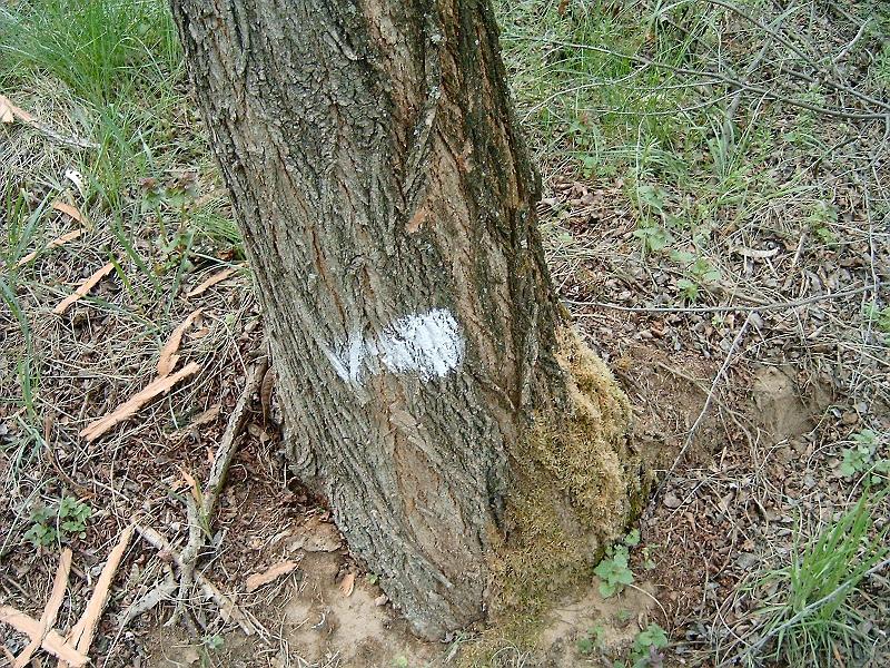 2012.14.22._074.jpg