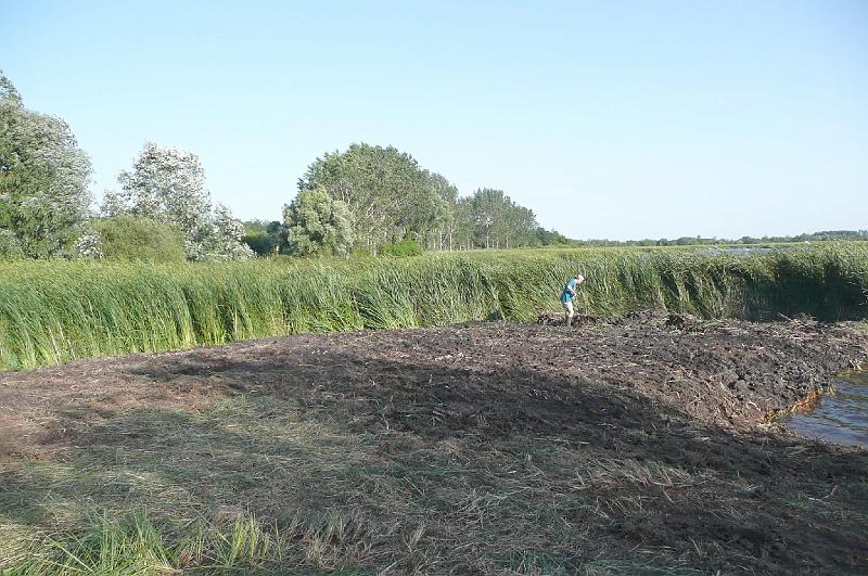 kotras_a_kuki_vizibazison228.jpg