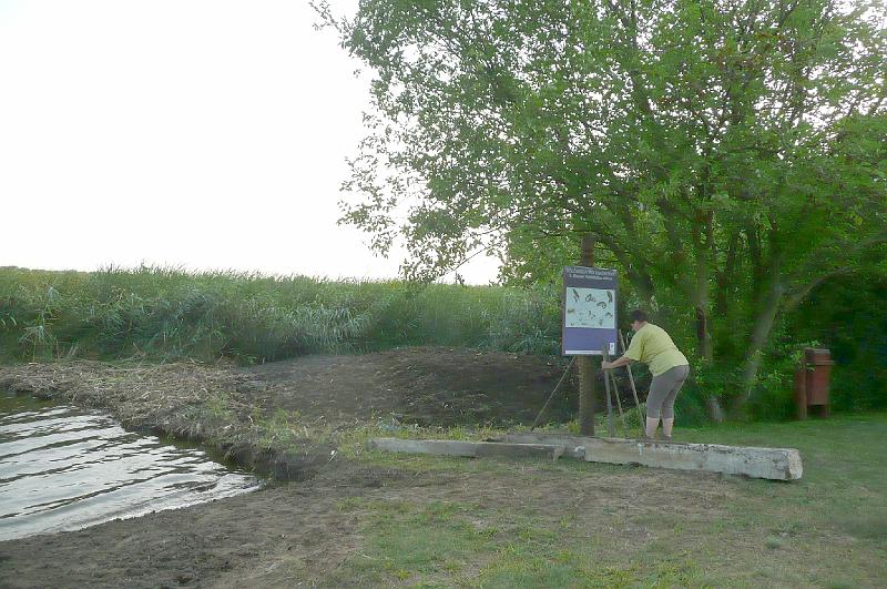 kotras_a_kuki_vizibazison238.jpg