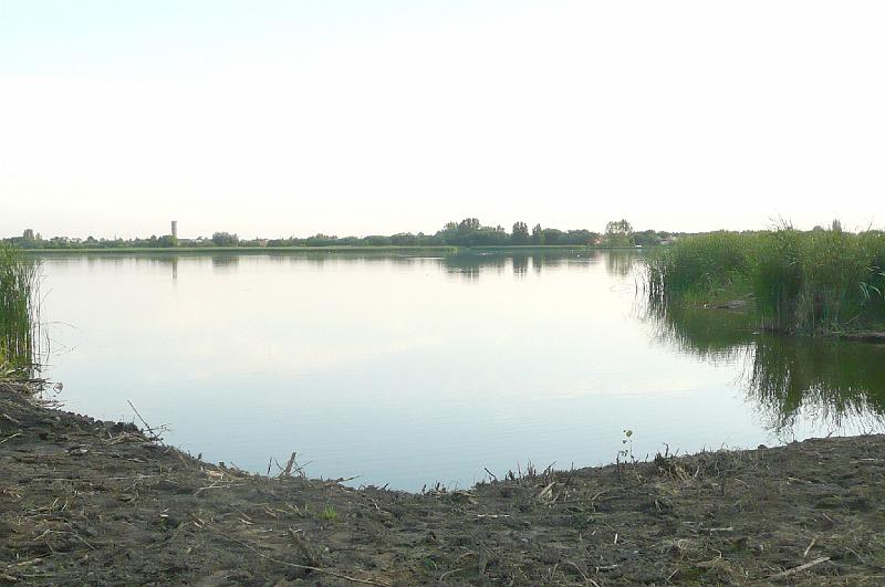 kotras_a_kuki_vizibazison247.jpg
